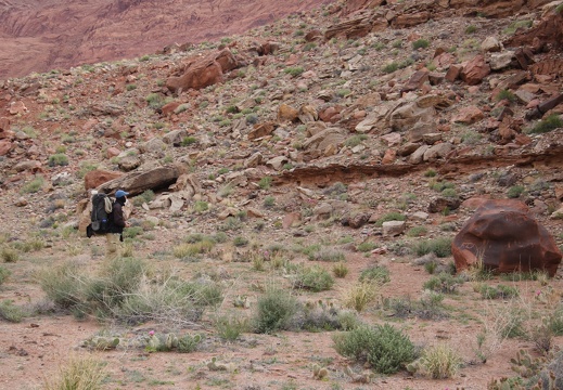 Jeffs Paria Canyon 2010 609